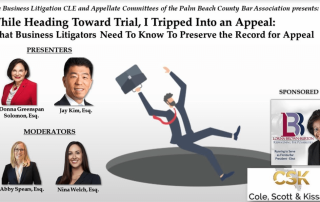 While Heading Toward Trial I Tripped into an Appeal: What Business Litigators Need to Know to Preserve the Record for Appeal